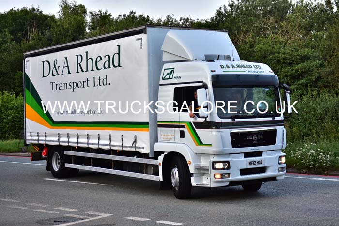 RHEAD MF12 HGD 19cv0486