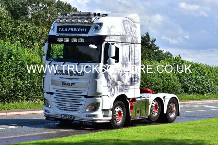 T & A CD16 DGD 19cv0177