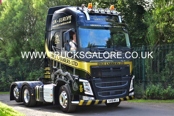 DYCE SV19 MVJ 19ed0981