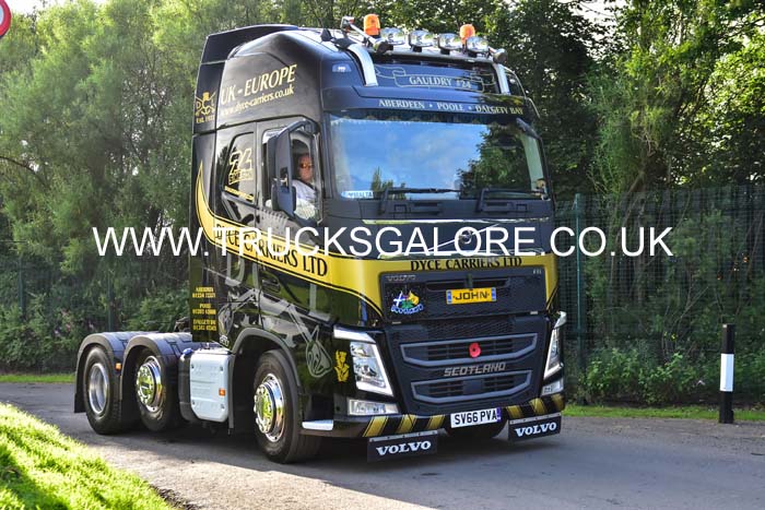 DYCE SV66 PVA 19ed1005