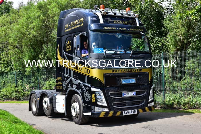 DYCE SV66 PVD 19ed0348