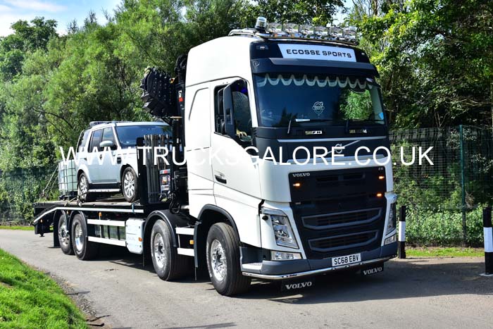 ECOSSE SC68 EBV 19ed0559