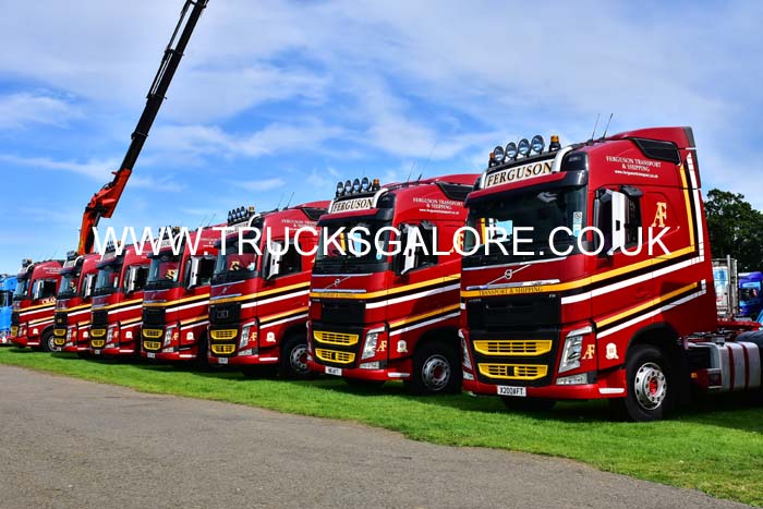 FERGUSON FLEET 19ed1393