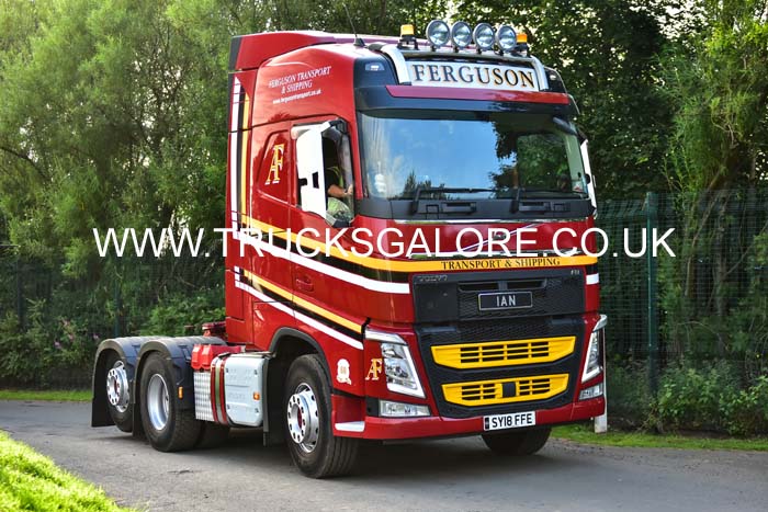 FERGUSON SY18 FFE 19ed1038