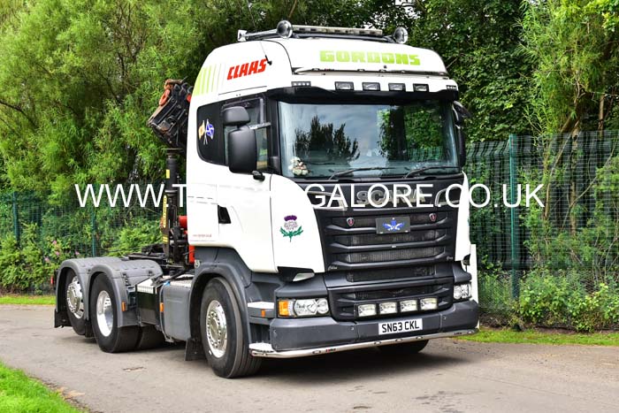 GORDONS SN63 CKL 19ed0265
