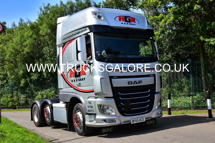 GRAY BF65 WCD 19ed0430