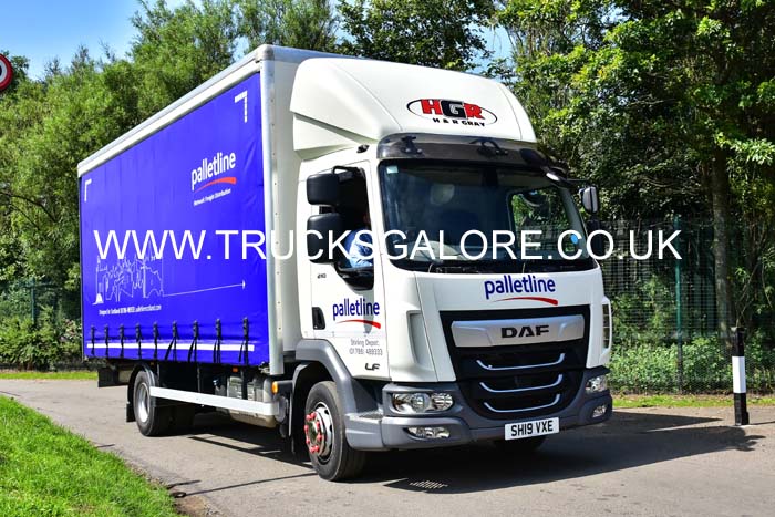 GRAY SH19 VXE 19ed0437