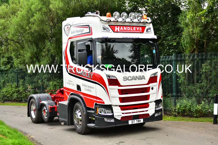 HANDLEYS D7 TRH 19ed1311