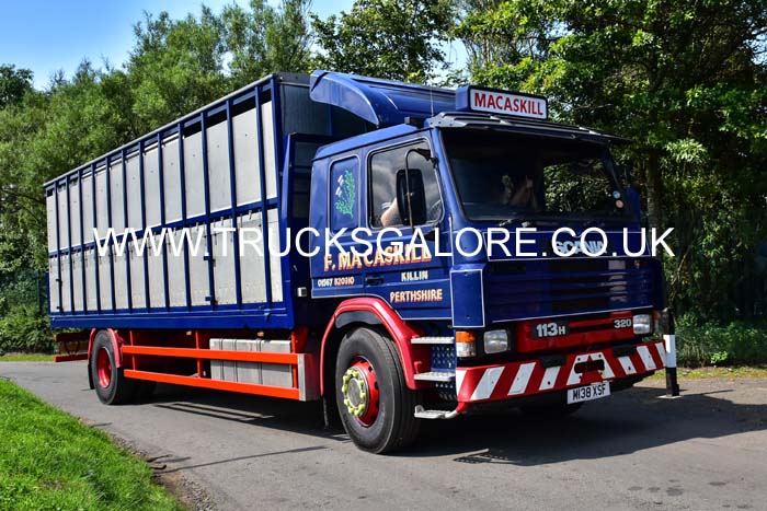MACASKILL M138 XSF 19ed0479
