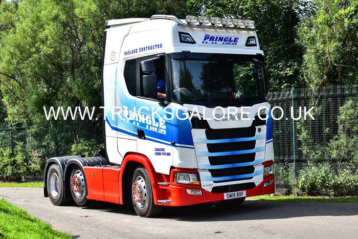 PRINGLE SM19 BXF 19ed0596