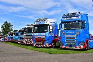 CENTRAL FLEET 19ed1395