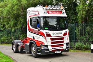 HANDLEYS D7 TRH 19ed1311