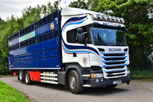 STEWART J30 RWS 19ed0749
