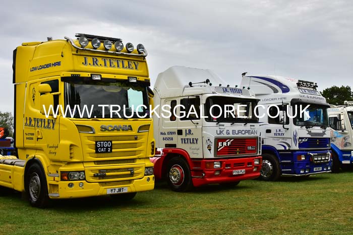 TETLEY Y7 JRT 19kt0428