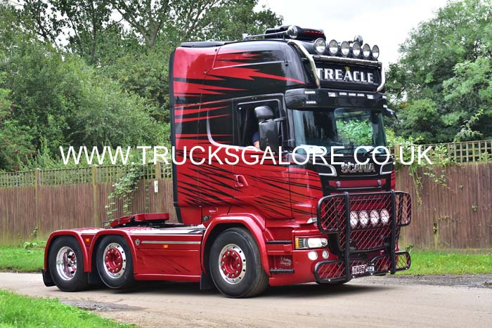 TREACLE 19kt0064
