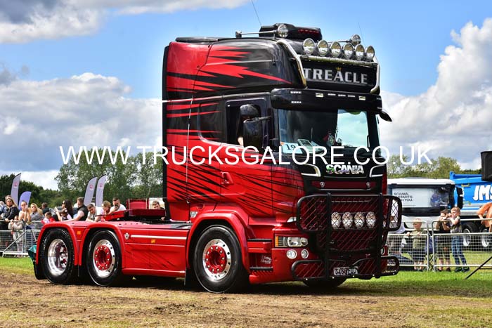TREACLE 19kt0444