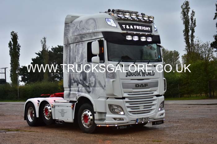 T & A CD16 DGD 19nk0203
