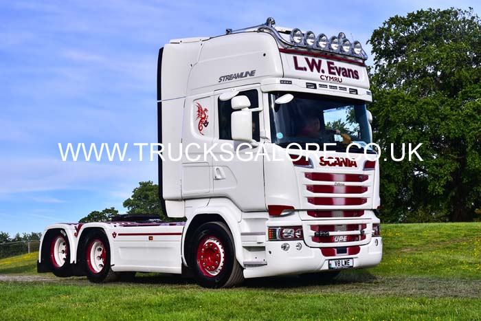 EVANS V8 LWE 19pt0162