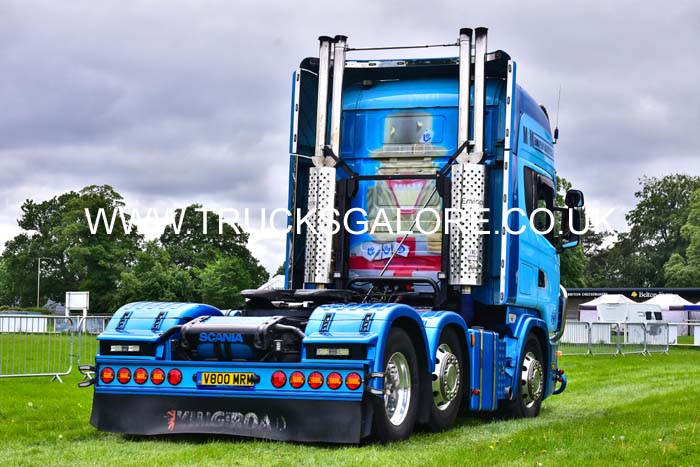 MRM V800 MEM 19pt0014