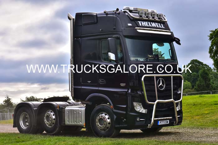 THELWELL P77 COW 19pt0363