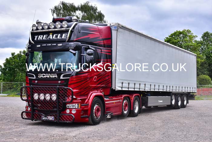 TREACLE V888 TTS 19pt0009