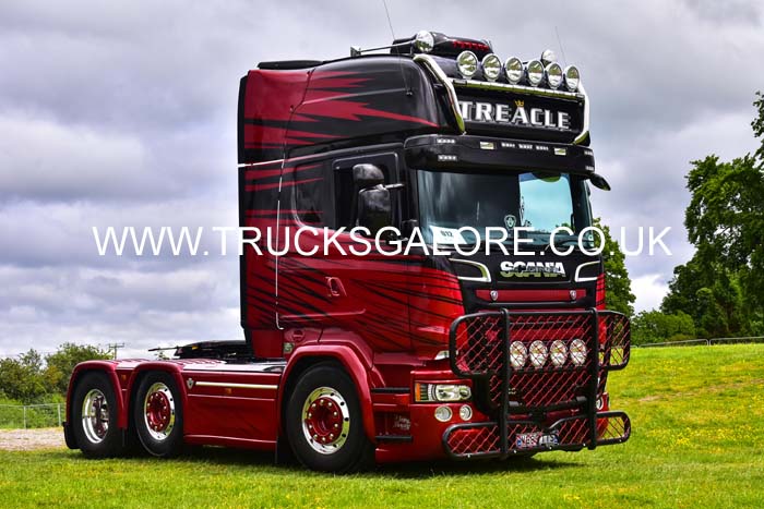 TREACLE V888 TTS 19pt0030