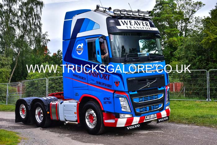 WEAVER WT66 LOG 19pt0352