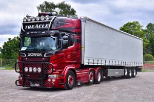 TREACLE V888 TTS 19pt0009