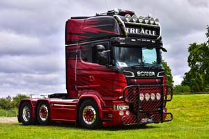 TREACLE V888 TTS 19pt0030