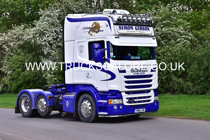 GIBSON YN14 LVE 19pb2188