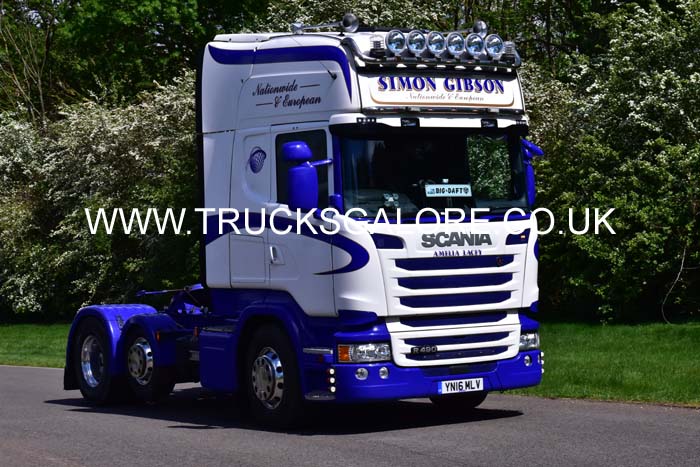 GIBSON YN16 MLV 19pb2062