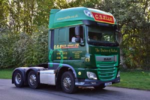 ELLIS FP16 NMM 19pb1146