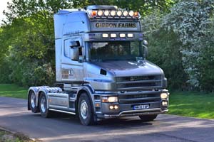 GIBBON N600 TOP 19pb1416