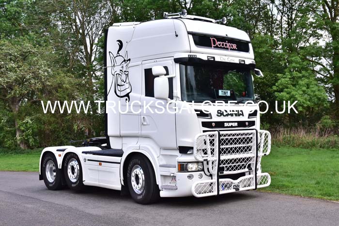 PETTIFOR 19pb0240