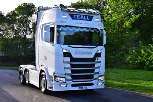 TEALL TT19 TTL 19pb1110