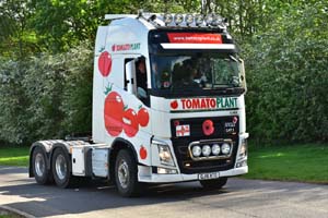 TOMATO GJ16 XTO 19pb1545