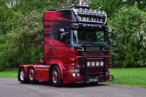 TREACLE 19pb0069