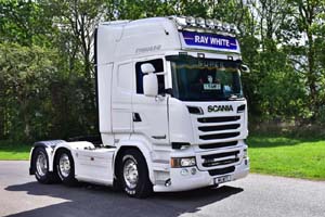 WHITE M11 WTS 19pb1721