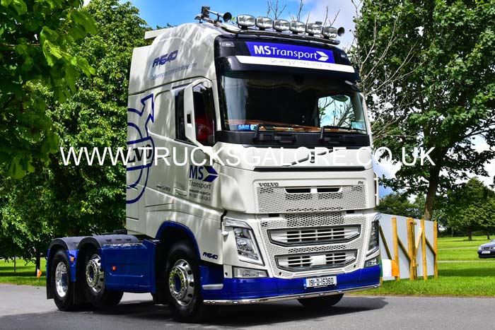 MS TRANSPORT 191-D-15360 19fop0666