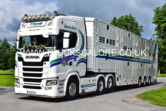 OTIARNAIGH 172-OY-407 19fop0543