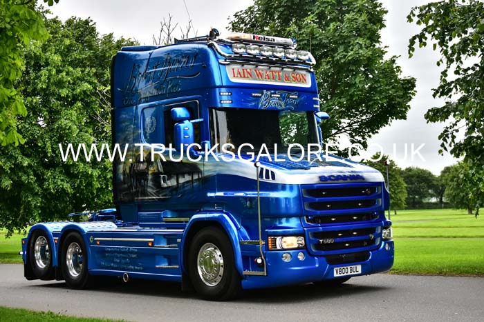 WATT V800 BUL 19fop0211