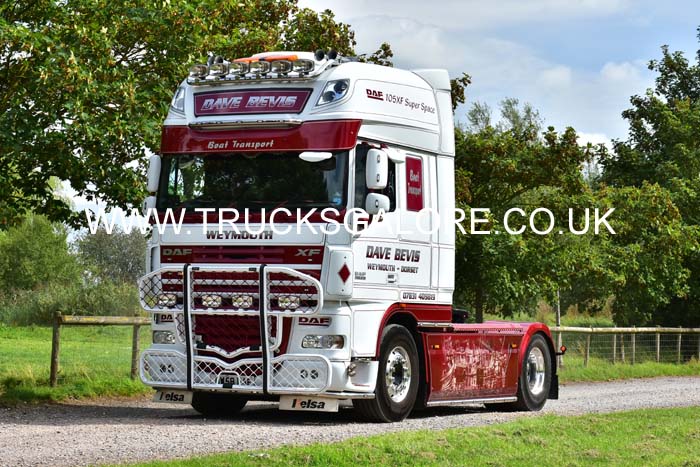 BEVIS 19sm0067