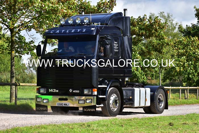 CATLEYS G580 MWJ 19sm0148