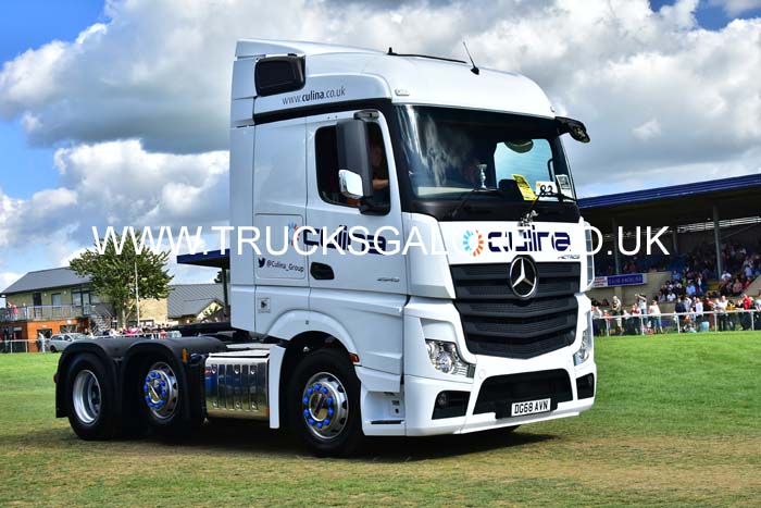 CULINA DG68 AVN 19sm0824