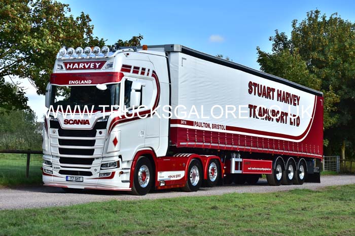 HARVEY Y7 SHT 19sm0232