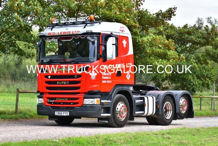 LEWIS CN66 PYO 19sm0083