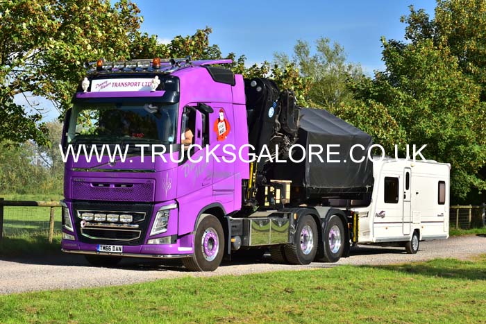 MEARS TM66 DAN 19sm0196