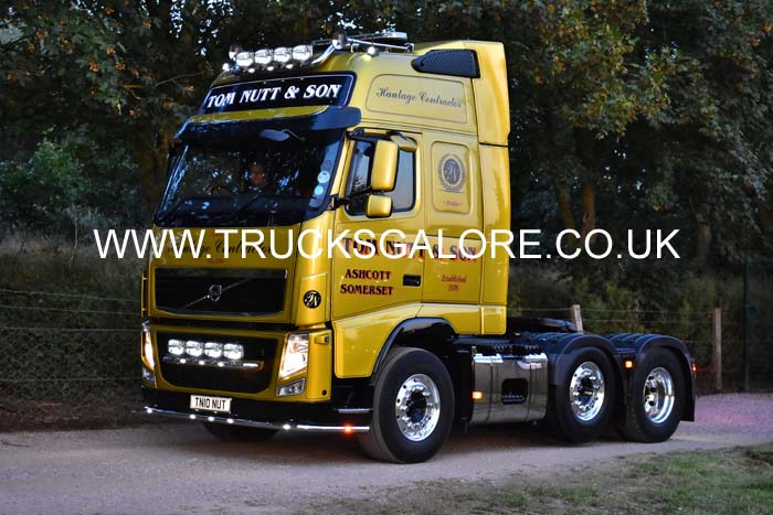 NUTT TN10 NUT 19sm0456