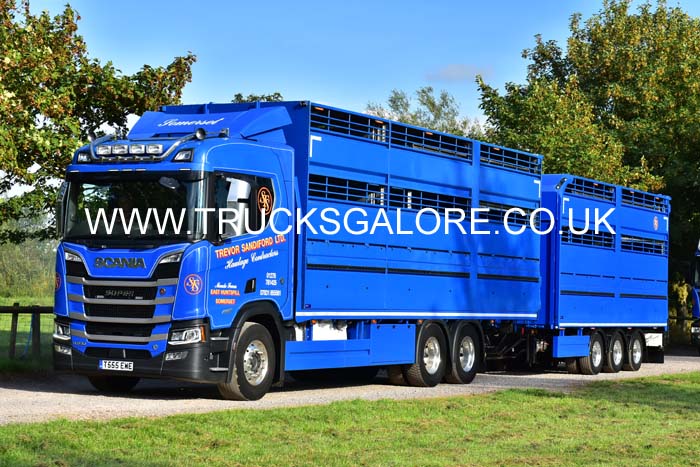 SANDIFORD T555 EWE 19sm0246