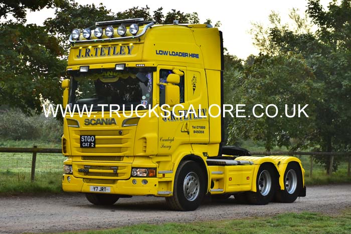TETLEY Y7 JRT 19sm0558